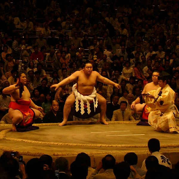 6Yokozuna