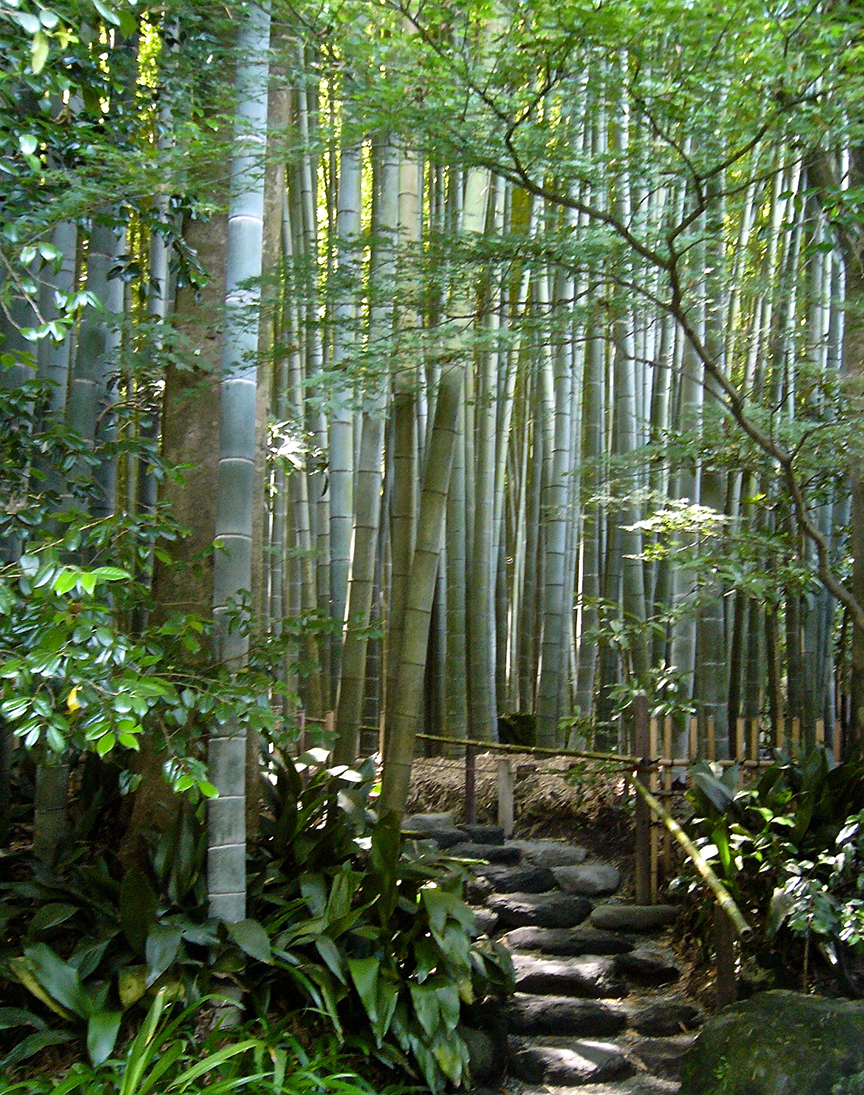 BambooTemple