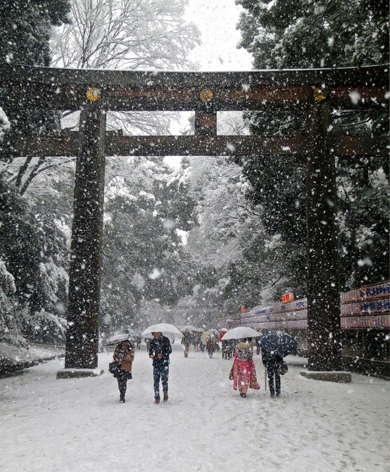 The Meiji Shrine is serene and majestic in any season, and is the best place to see Japanese weddings, kimono-clad kids and the pageantry of all the traditional festivals. More here.