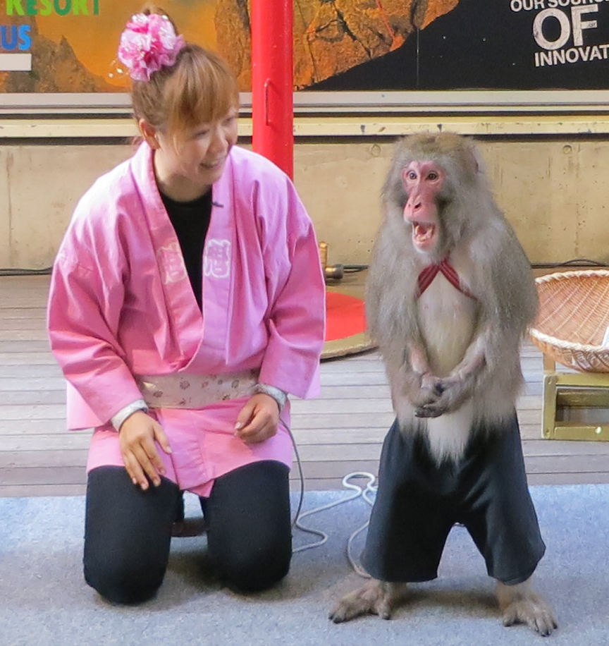 On festival weekends, you can often catch a free monkey show at the Yushima Shrine.