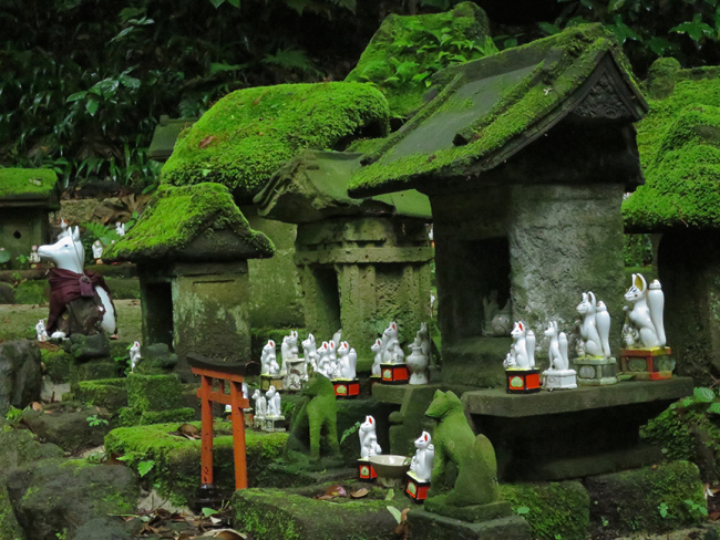 In the shady hush of the deep forest, it's almost possible that as soon as you leave, the foxes will come alive.