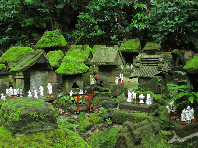 The moss is really breathtaking.