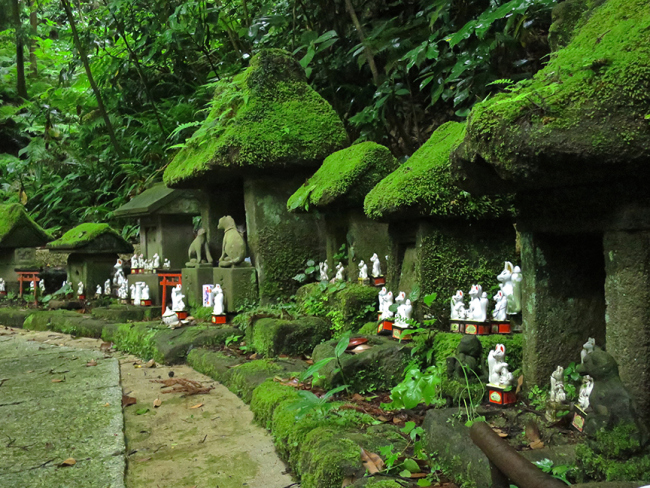 Near the end of the hiking loop is the most extensive fox village.