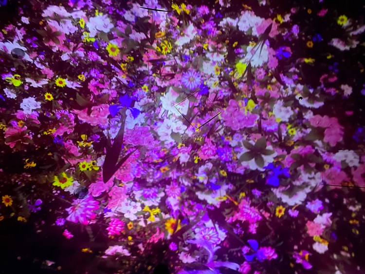 TeamLab Planets universe of falling flowers