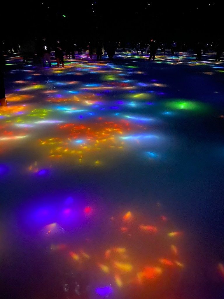 TeamLab Planets wading room with fish and flowers