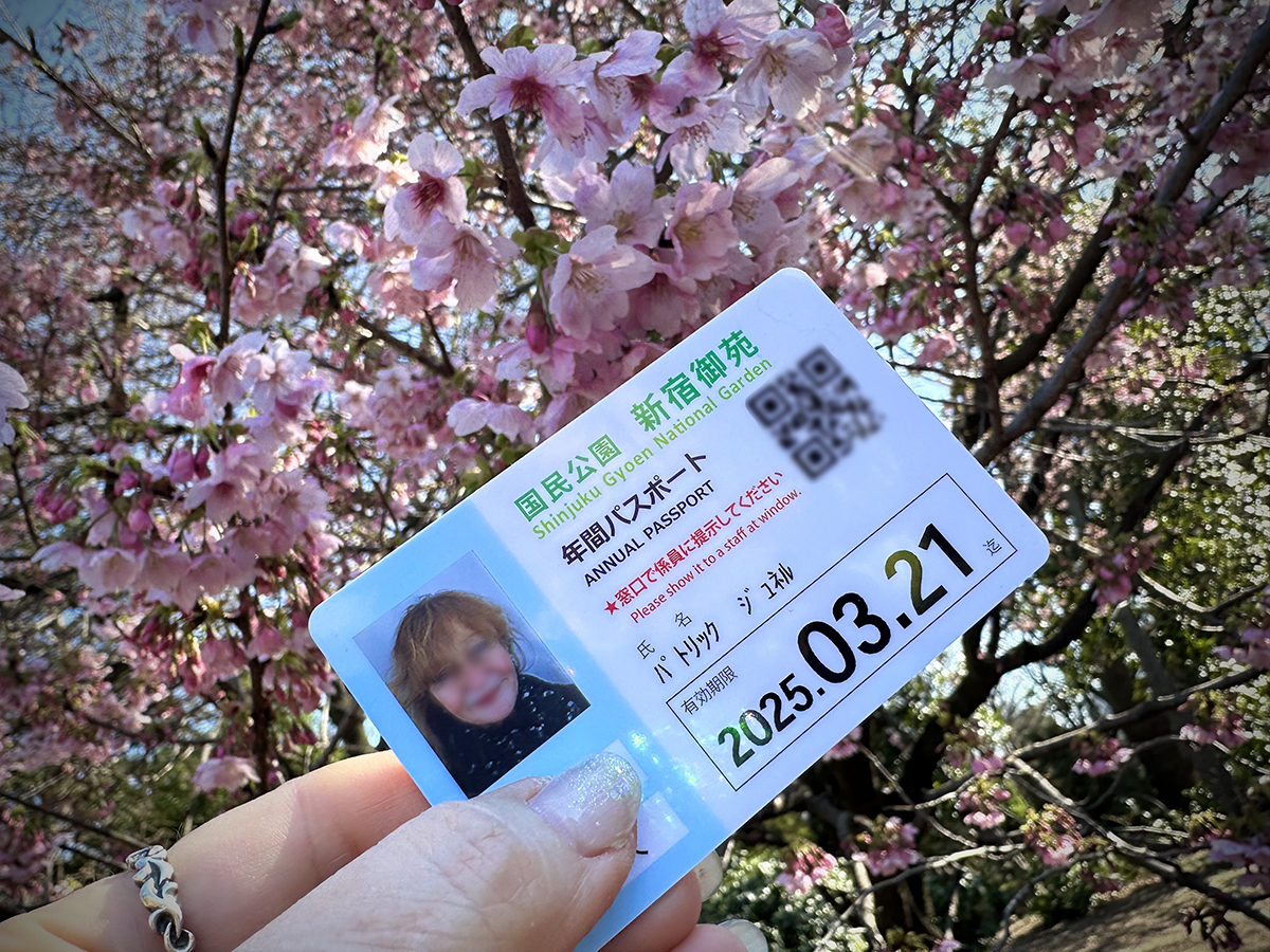 How to get into Shinjuku Gyoen during cherry blossom season
