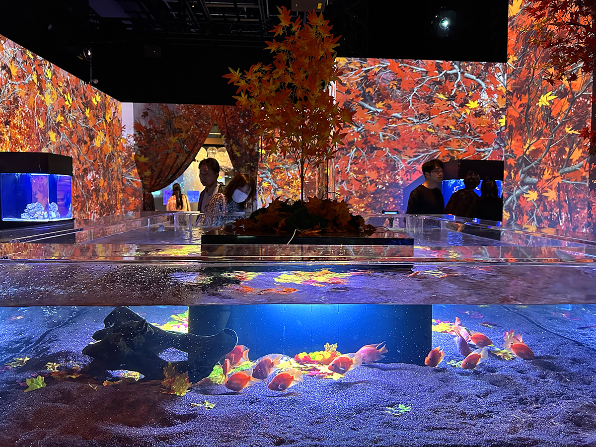 Shinagawa Aqua Park – Jonelle Patrick writes about Japan