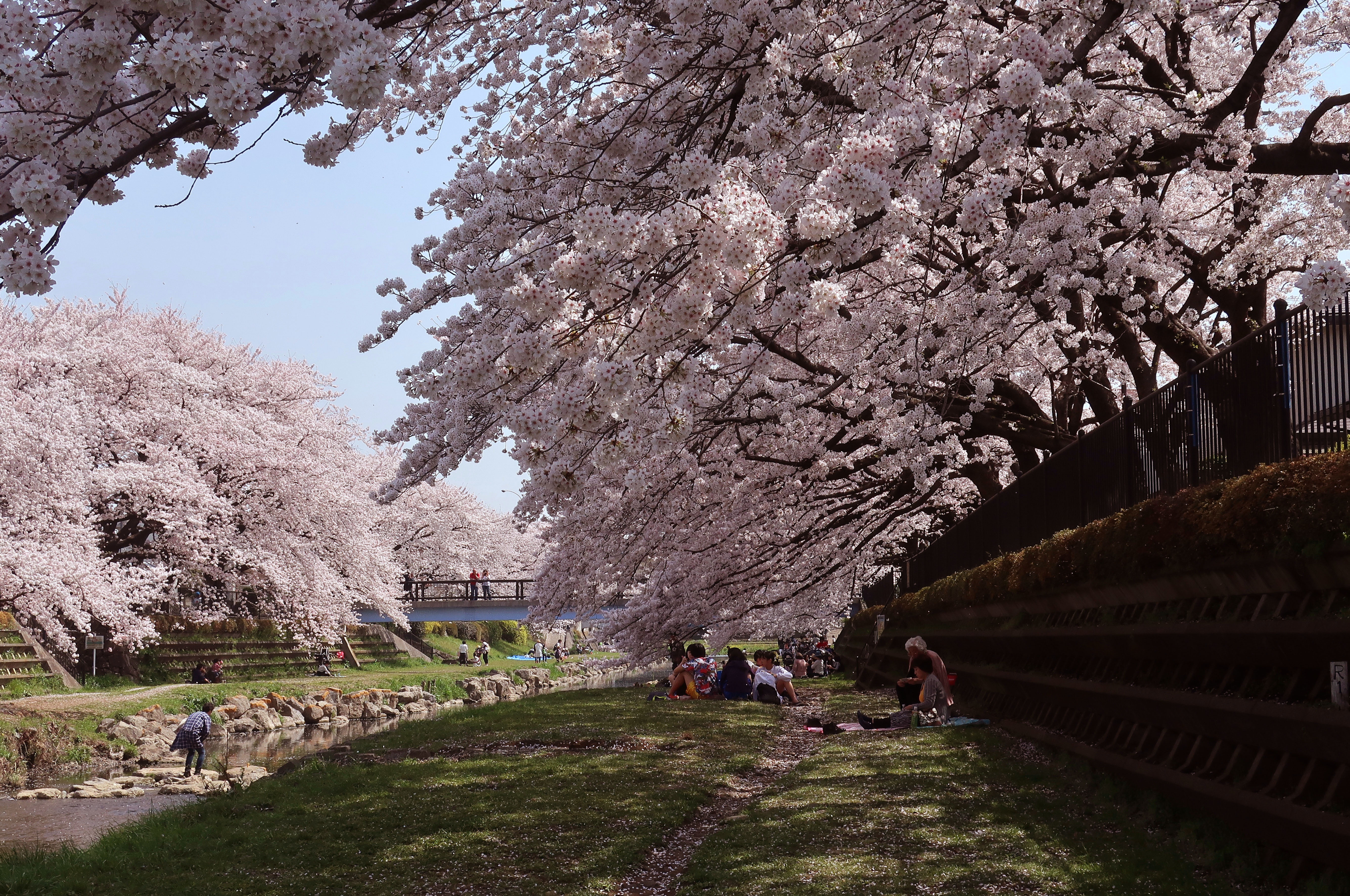 jindai18.jpg?w=750