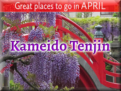 Kameido Tenjin Shrine