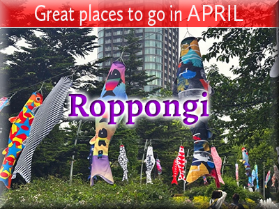 Roppongi Area