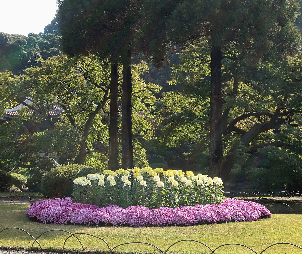 Shinjuku Gyoen National Garden – Jonelle Patrick writes about Japan