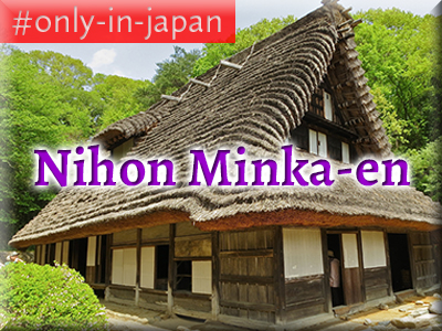 Nihon Minka-en Thatch-Roofed&nbsp;Farmhouses