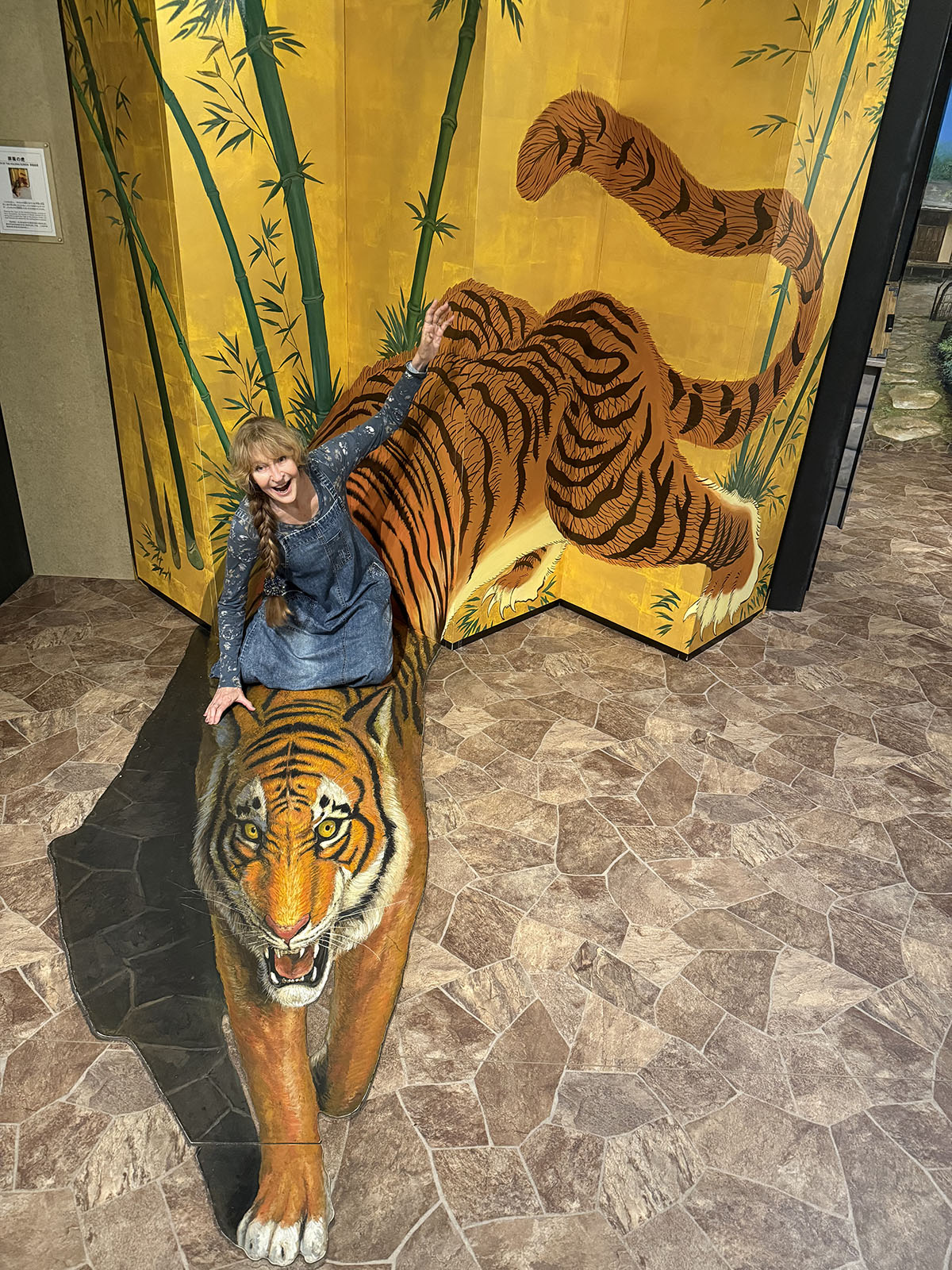 The Tokyo Trick Art Museum – Jonelle Patrick writes about Japan