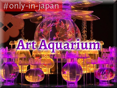 Art Aquarium