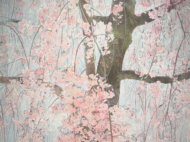 At this cherry blossom spot, the flowers never, ever,&nbsp;disappoint